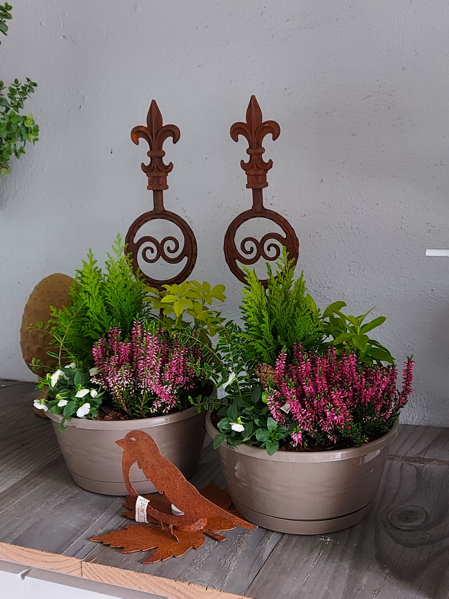 Vasques fleurs