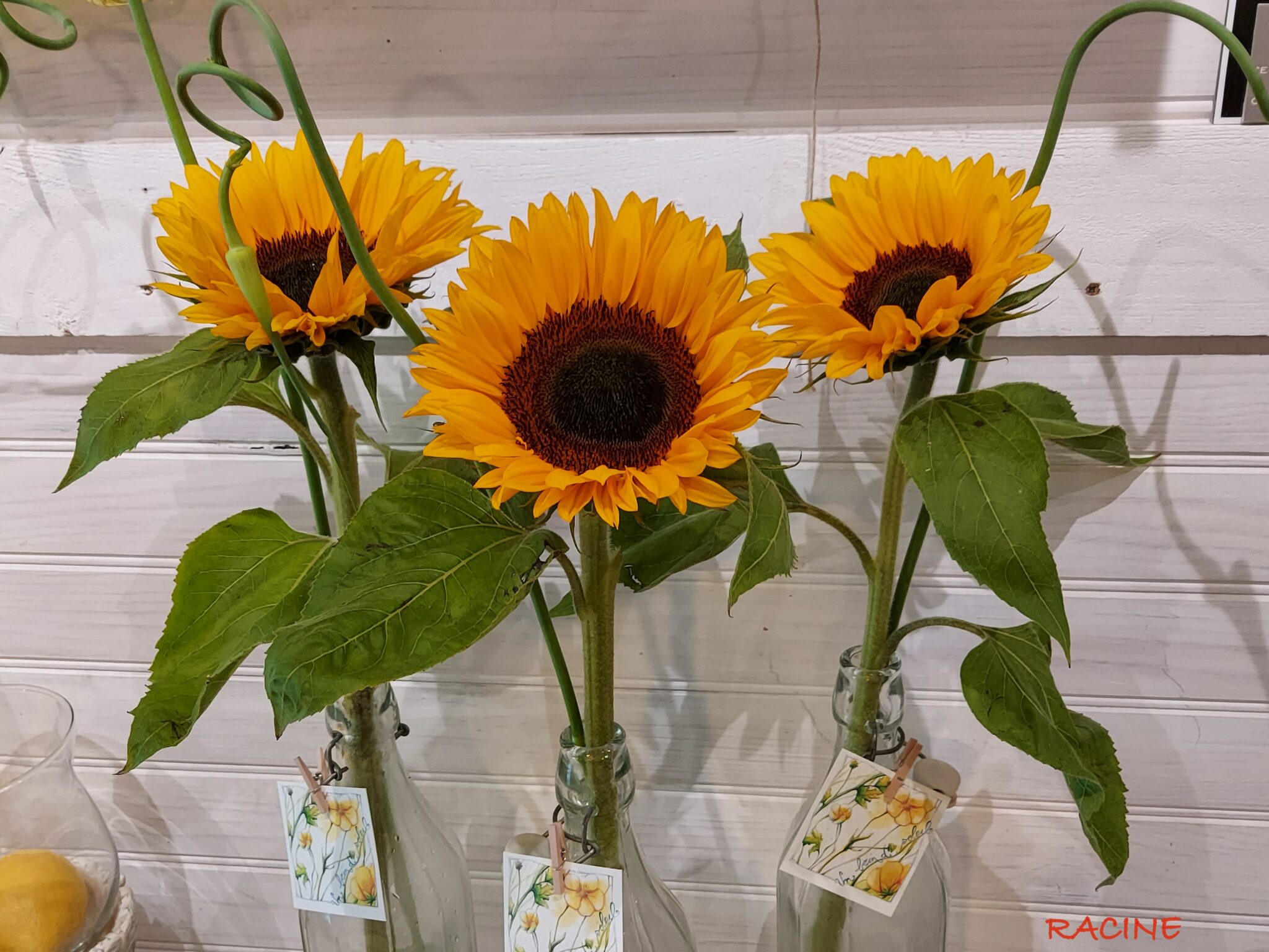 Déco fleurs