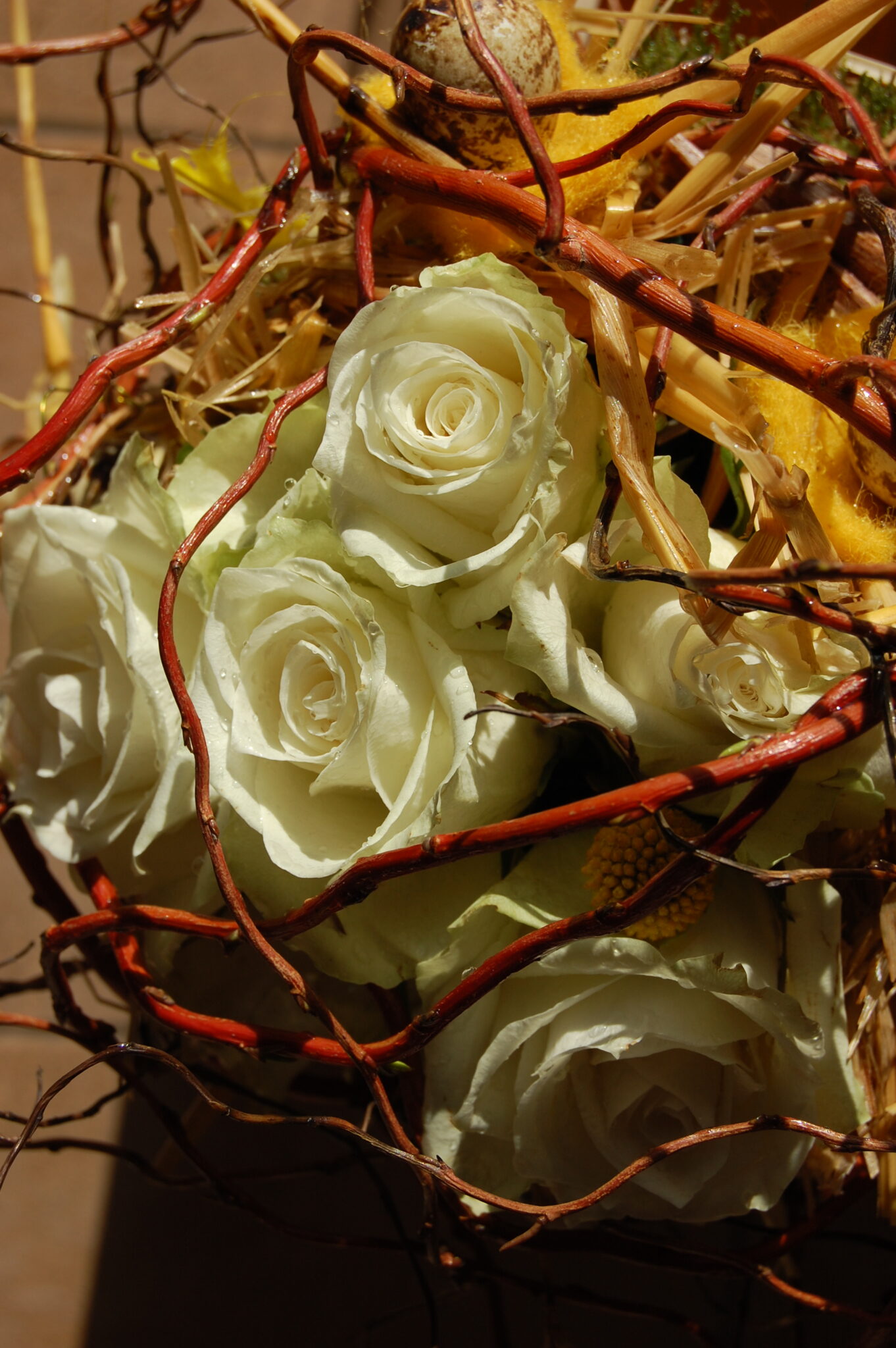 Montage fleurs