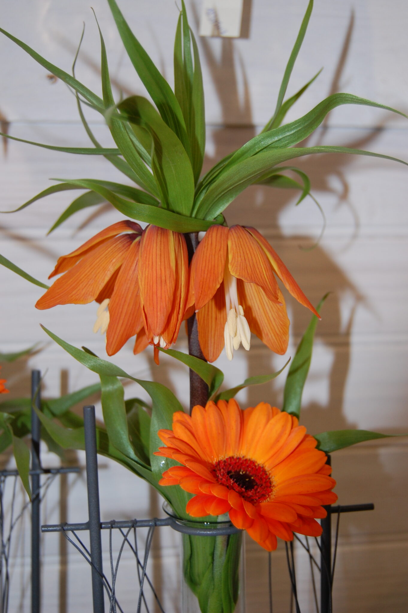 Déco fleurs