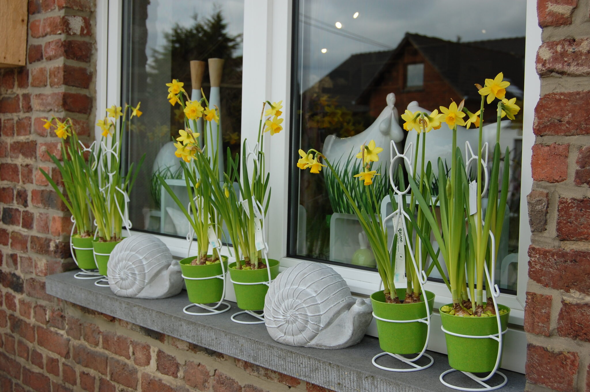 Déco fleurs